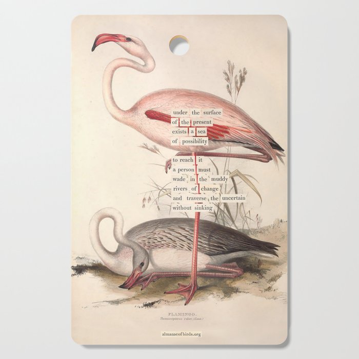 Bird Divinations: Flamingo (about: almanacofbirds.org) Cutting Board Gallery Image 1