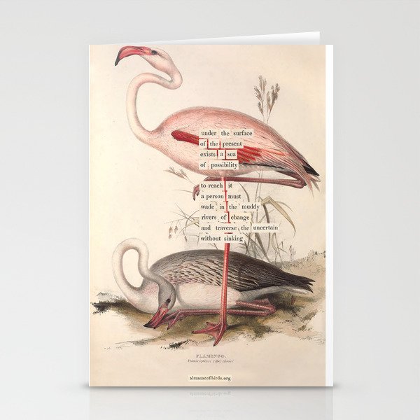 Bird Divinations: Flamingo (About: Almanacofbirds.Org) Stationery Card