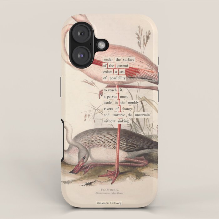 Bird Divinations: Flamingo (about: almanacofbirds.org) iPhone Case Gallery Image 1