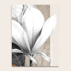 collage art/Still Life Notebook Gallery Image 4