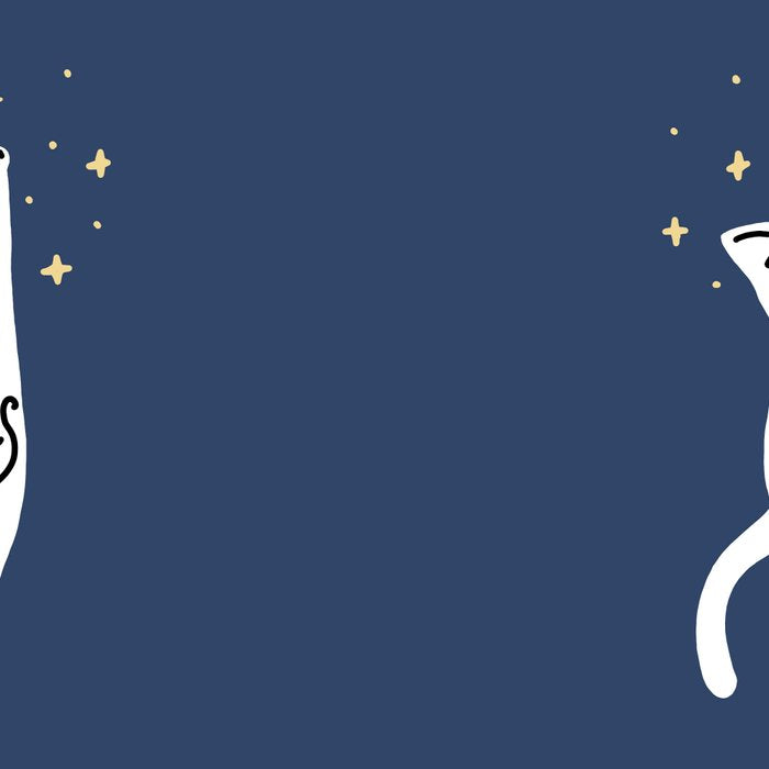 Stay Curious Cat Coffee Mug Gallery Image 2