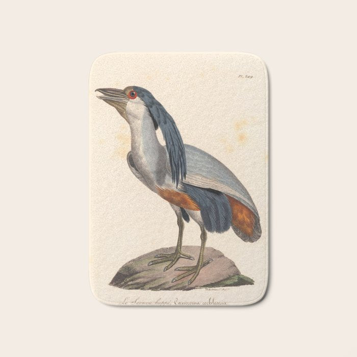 Ornithological illustration from "La Galerie de Oiseaux" ("Bird Gallery"), 1825 Bath Mat Gallery Image 1