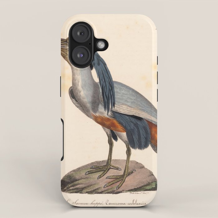Ornithological illustration from "La Galerie de Oiseaux" ("Bird Gallery"), 1825 iPhone Case Gallery Image 1