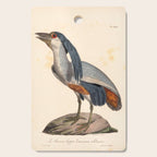 Ornithological illustration from "La Galerie de Oiseaux" ("Bird Gallery"), 1825 Cutting Board Gallery Image 1