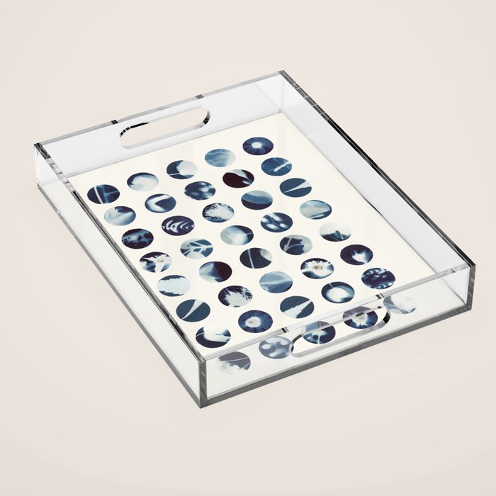 Botanical Cyanotypes Acrylic Tray Gallery Image 1