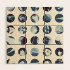 Botanical Cyanotypes Wood Wall Art Gallery Image 1