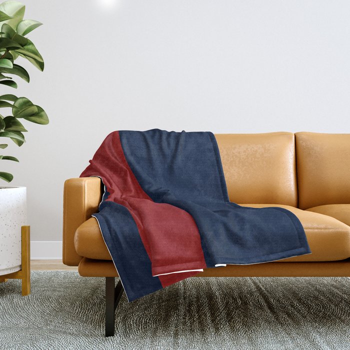 Navy Bold Red Stripe Throw Blanket Gallery Image 1