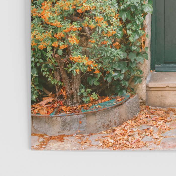 Montmartre Paris | The Ivy covered door Poster Gallery Image 3