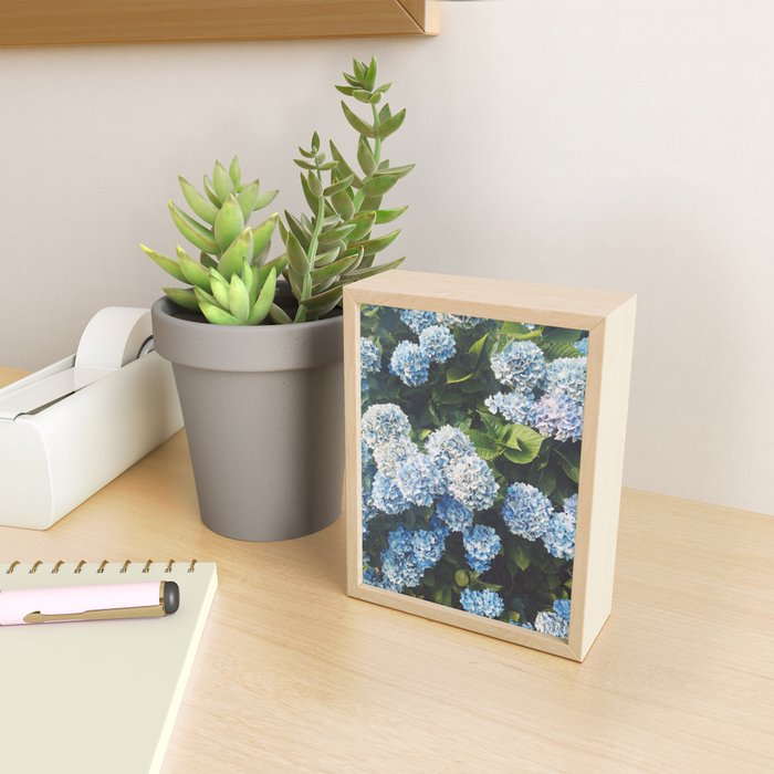 Blue Hydrangea Mini Art Print Gallery Image 2