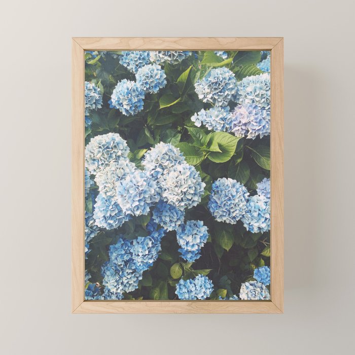 Blue Hydrangea Mini Art Print Gallery Image 1