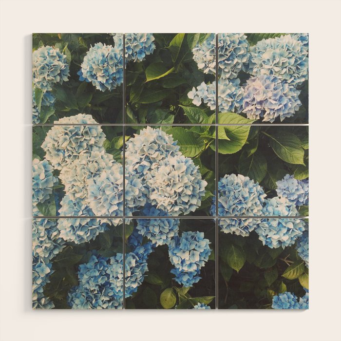 Blue Hydrangea Wood Wall Art Gallery Image 1