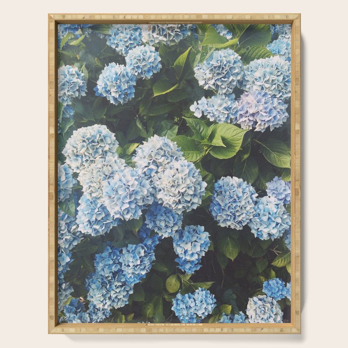 Blue Hydrangea Serving Tray Gallery Image 1