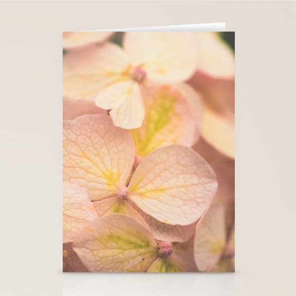Lauds - Dawn Prayer 2 Stationery Card Gallery Image 1