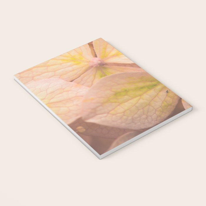 Lauds - Dawn Prayer 2 Notebook Gallery Image 3