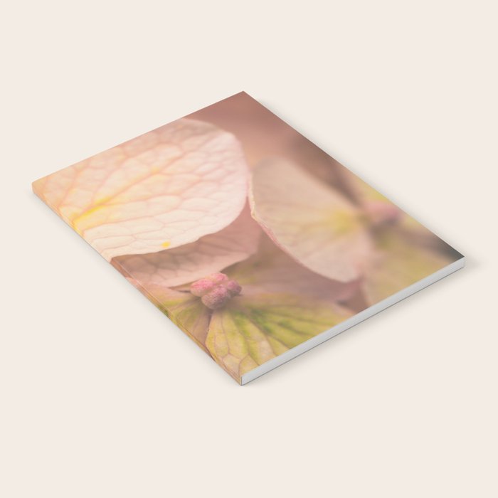 Lauds - Dawn Prayer 2 Notebook Gallery Image 1
