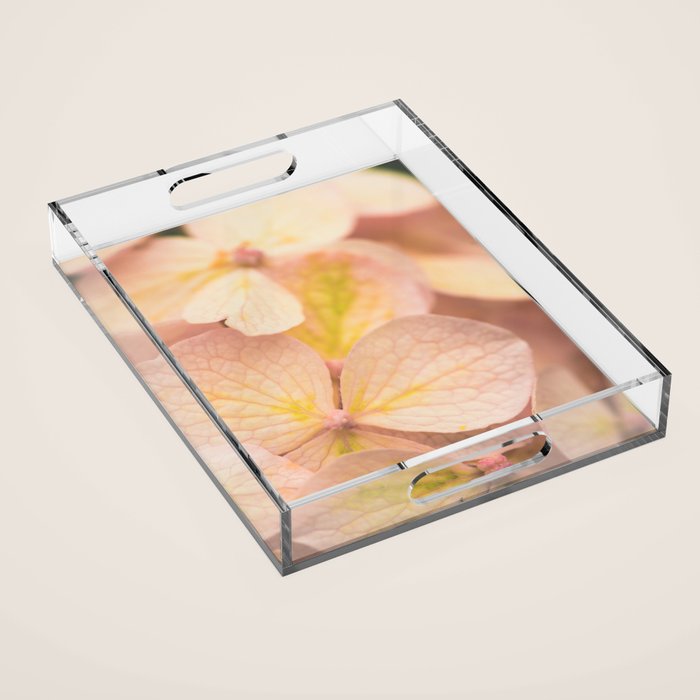 Lauds - Dawn Prayer 2 Acrylic Tray Gallery Image 1