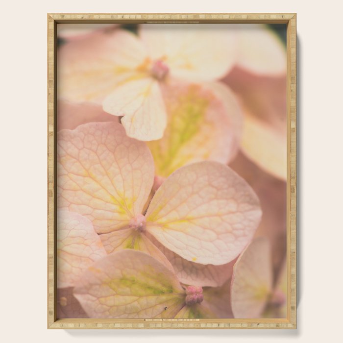 Lauds - Dawn Prayer 2 Serving Tray Gallery Image 1