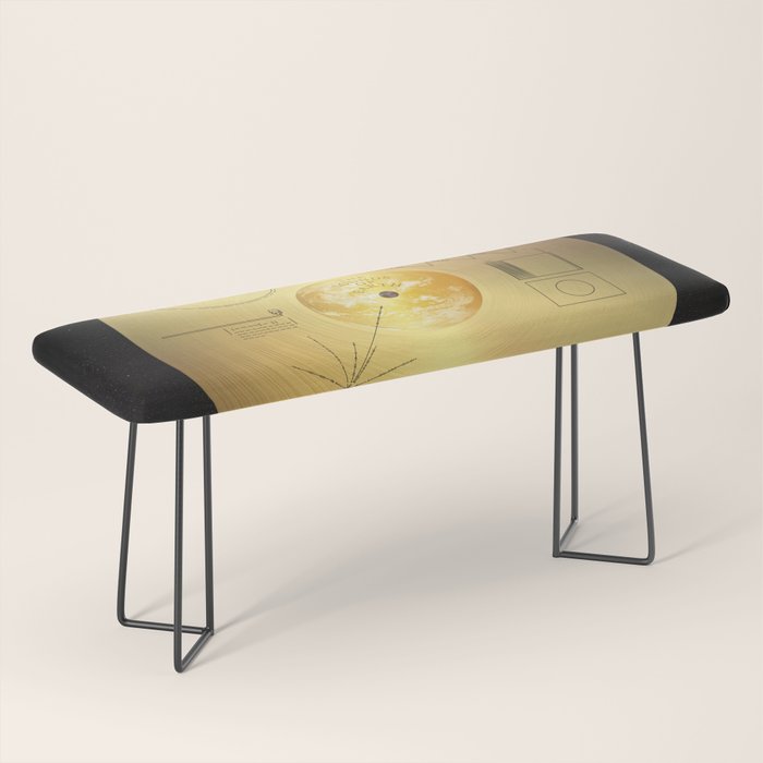 Voyager 1 Golden Record #1 Bench Gallery Image 1