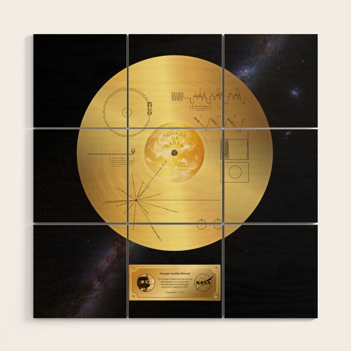Voyager 1 Golden Record #1 Wood Wall Art Gallery Image 1