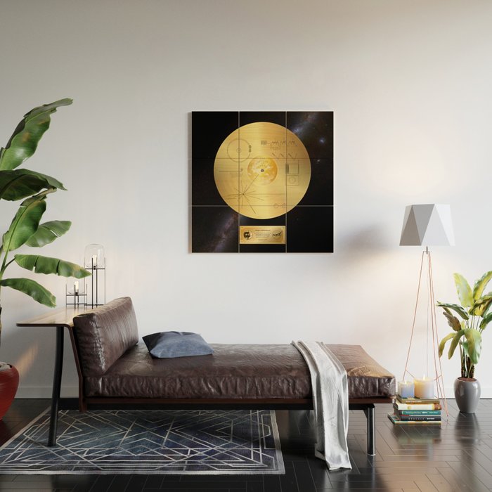Voyager 1 Golden Record #1 Wood Wall Art Gallery Image 2