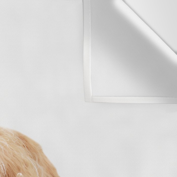 Highland Cow in a Wooden Bathtub, Cow Taking a Bath, Bathtub Animal Art Print By Synplus Wall Tapestry Gallery Image 3