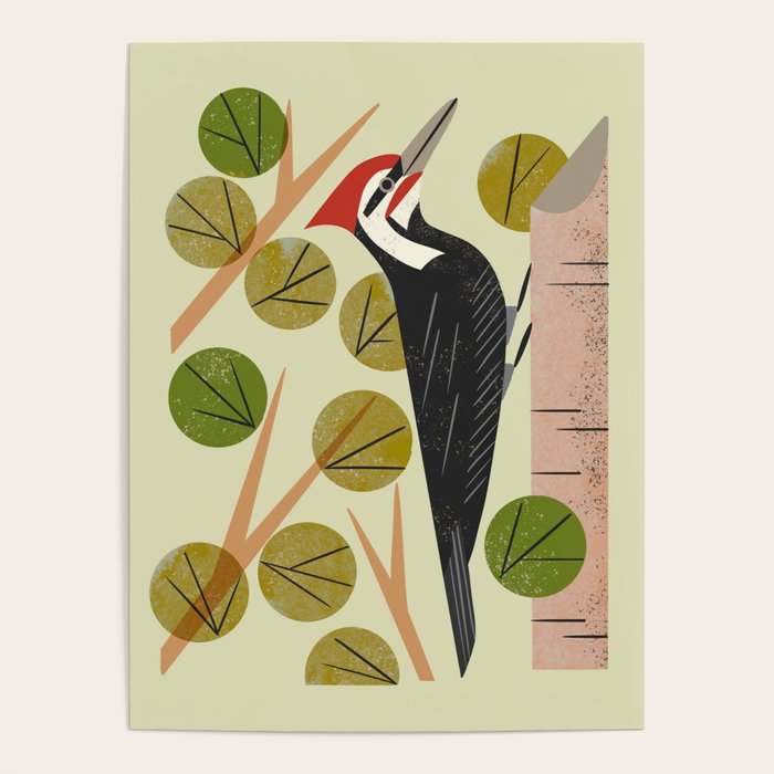 Woodpecker In Aspen Tree Poster Gallery Image 4