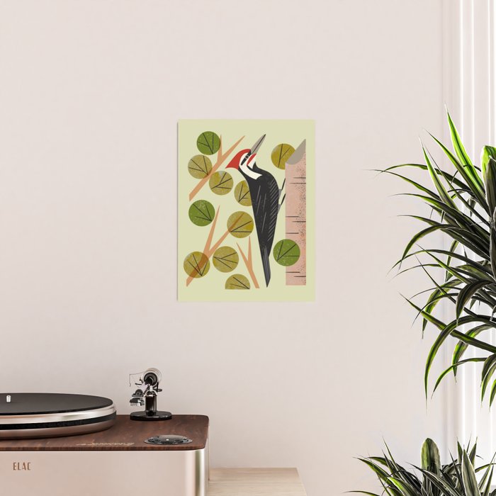 Woodpecker In Aspen Tree Poster Gallery Image 2