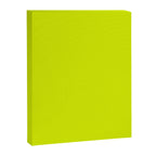 Acid lime neon green  Canvas Print Gallery Image 8