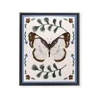 Elegant Watercolor Butterfly with Botanical Frame Framed Canvas Print Gallery Image 8