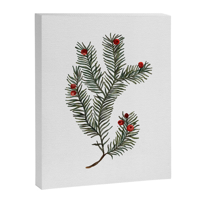 Evergreen Elegance Canvas Print Gallery Image 1