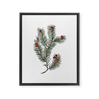 Evergreen Elegance Framed Canvas Print Gallery Image 8