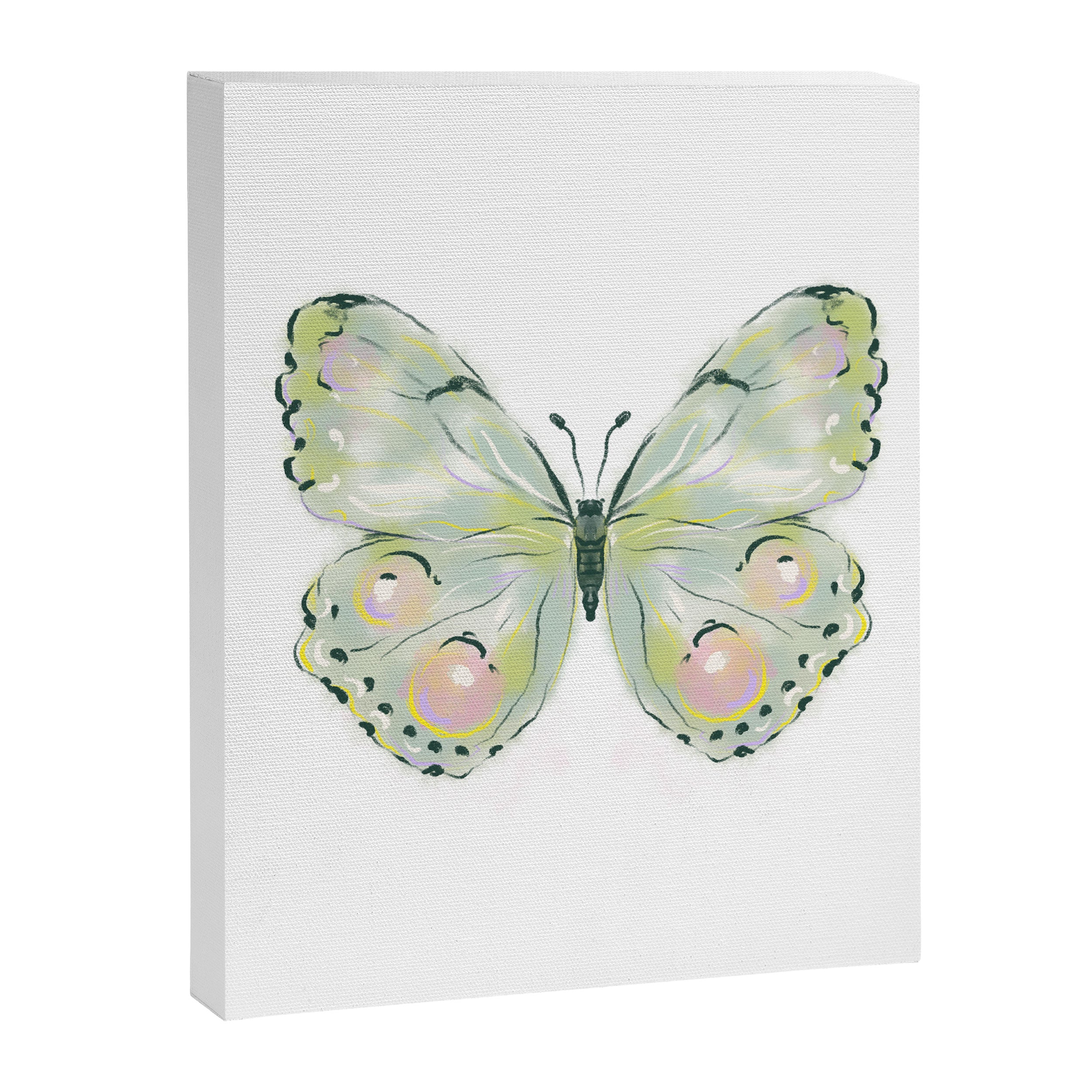 Exquisite Light Green Watercolour Butterfly Canvas Print Gallery Image 8