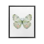 Exquisite Light Green Watercolour Butterfly Framed Canvas Print Gallery Image 8