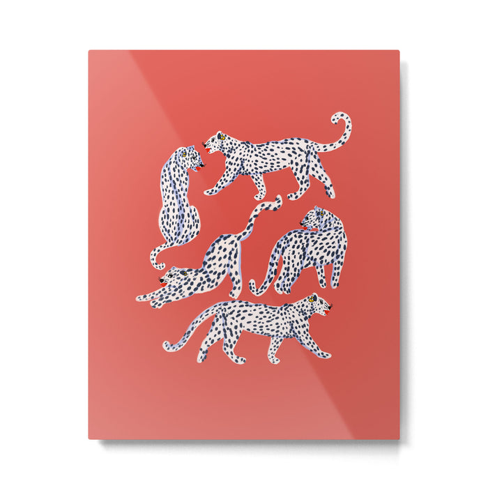 Fashionable white leopards  Metal Print Gallery Image 1