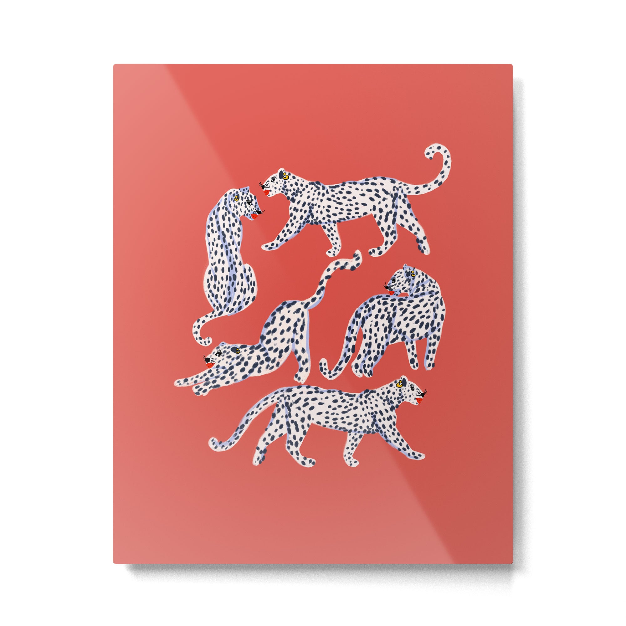 Fashionable white leopards  Metal Print Gallery Image 6