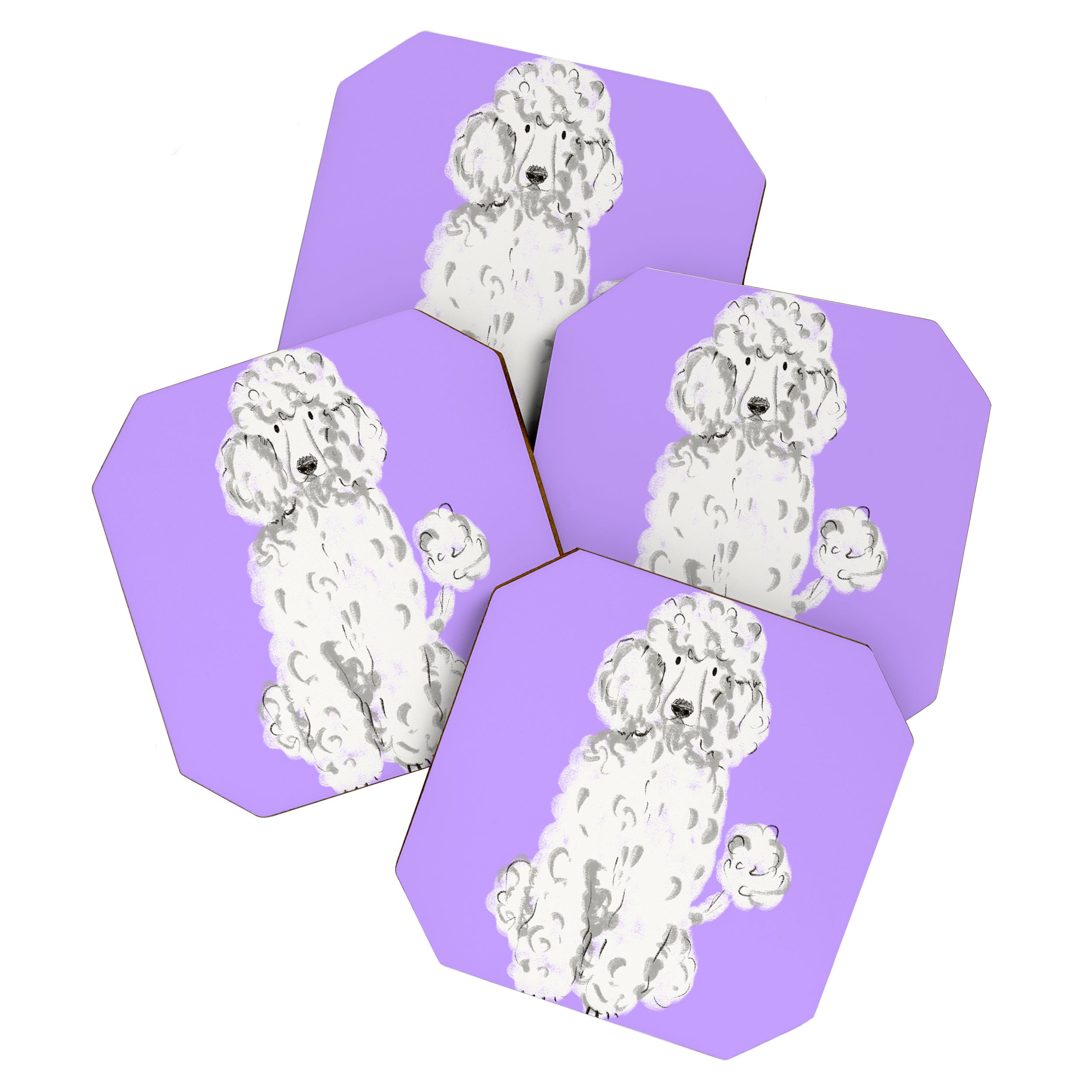 Fashionable white poodle Coaster Gallery Image 1