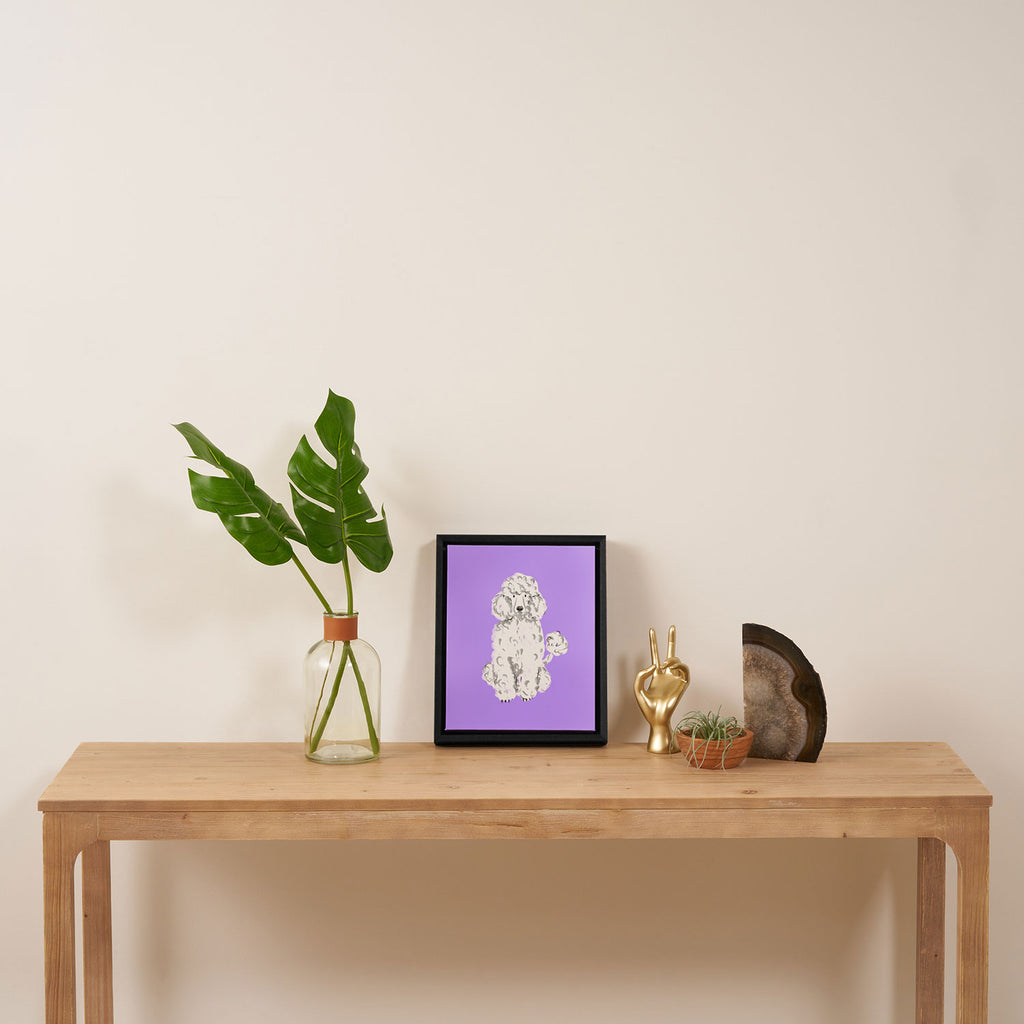 Fashionable white poodle Framed Canvas Print Gallery Image 4