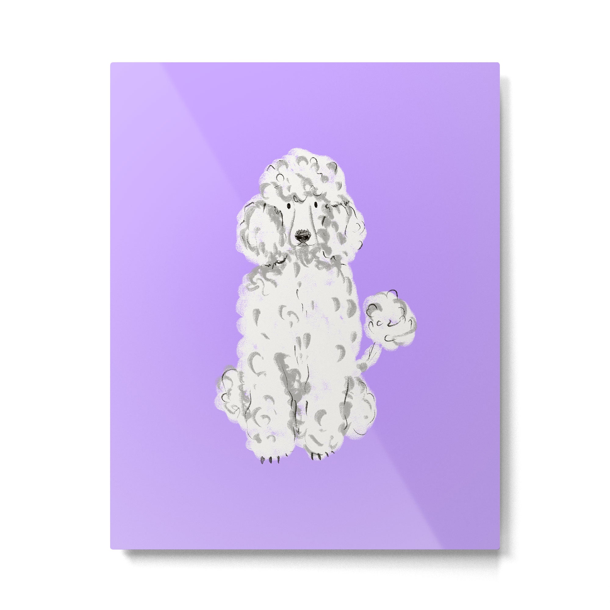 Fashionable white poodle Metal Print Gallery Image 6