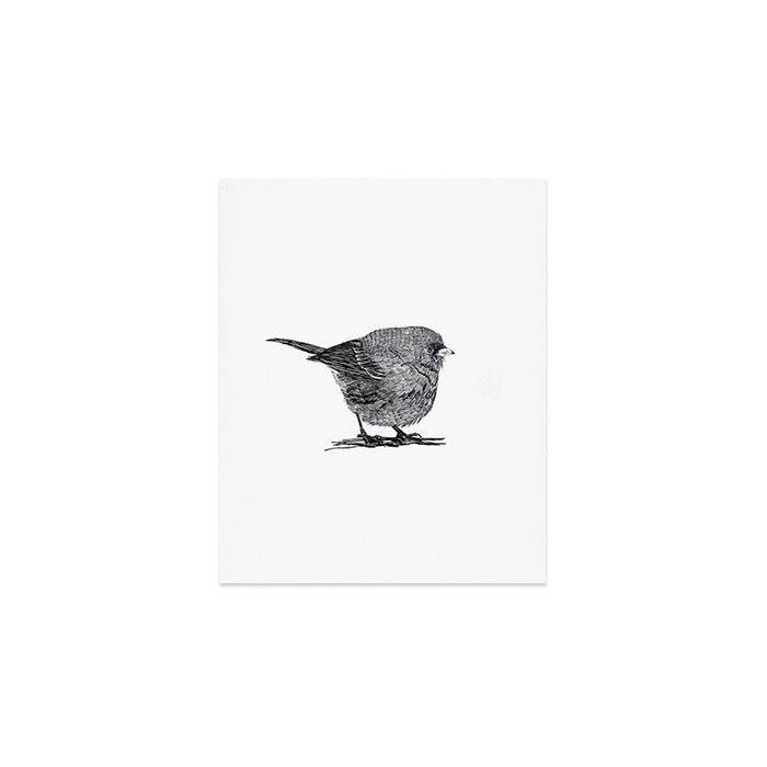 Vintage bird illustration  Art Print Gallery Image 1