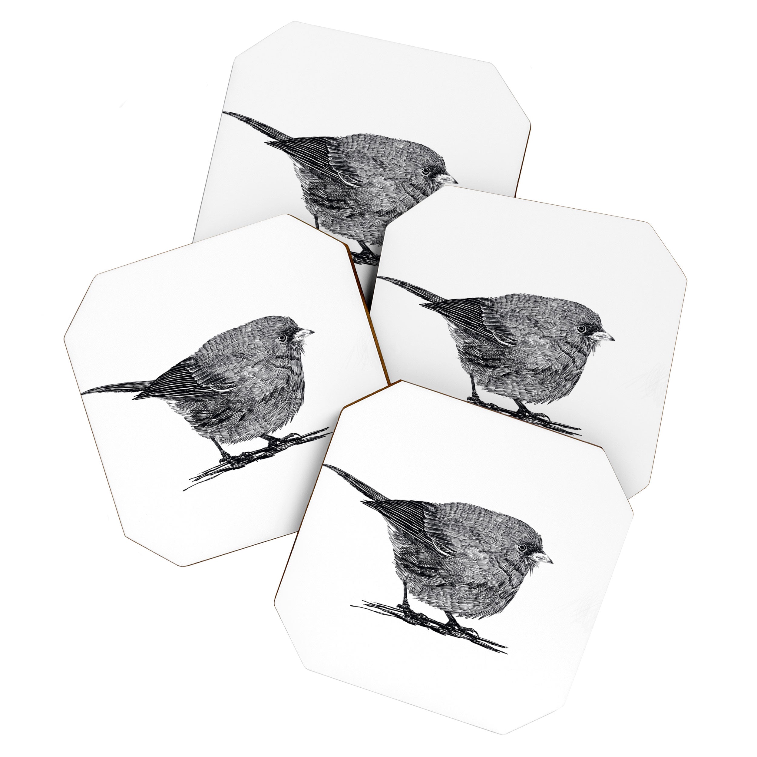 Vintage bird illustration  Coaster Gallery Image 1