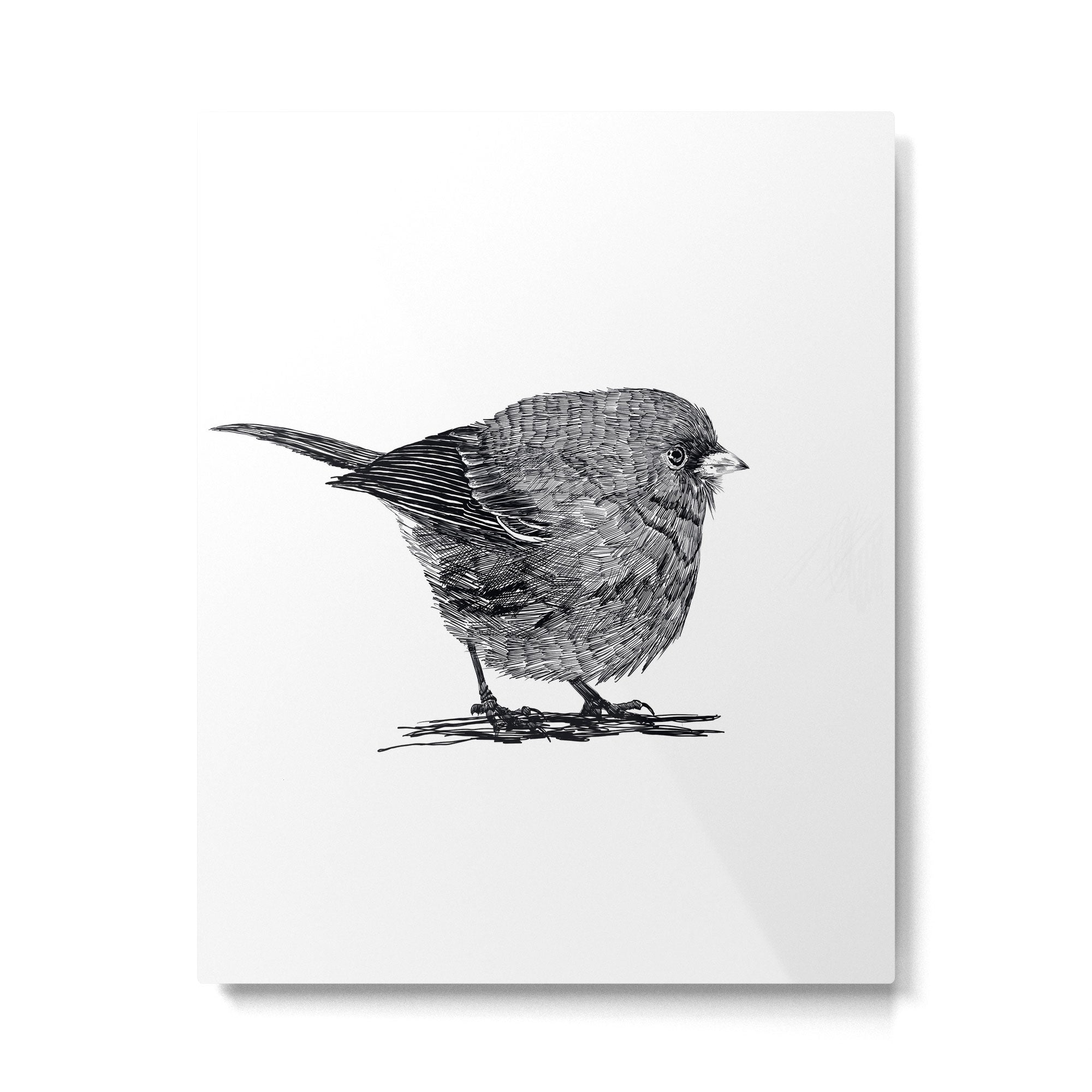 Vintage bird illustration  Metal Print Gallery Image 6