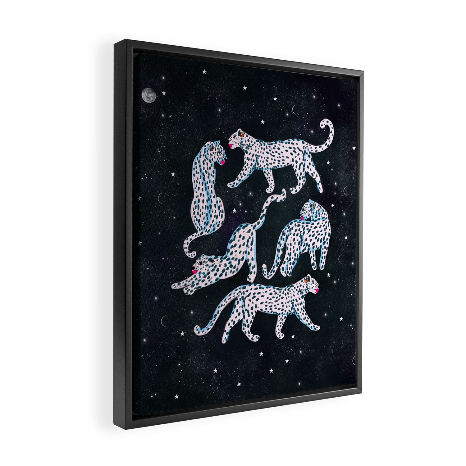 White leopards in space  Framed Canvas Print Gallery Image 2
