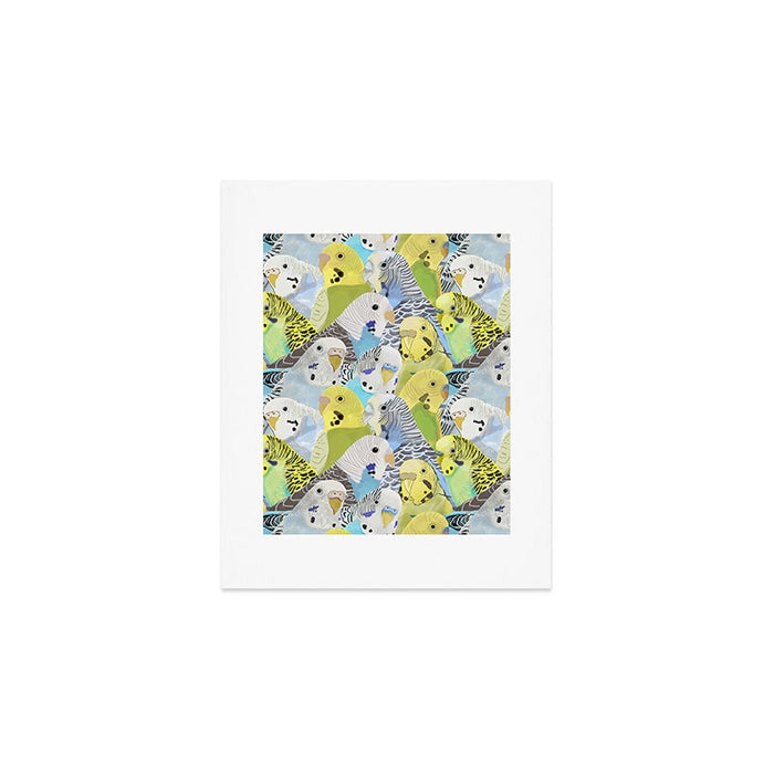 Budgie Parakeets Art Print Gallery Image 1