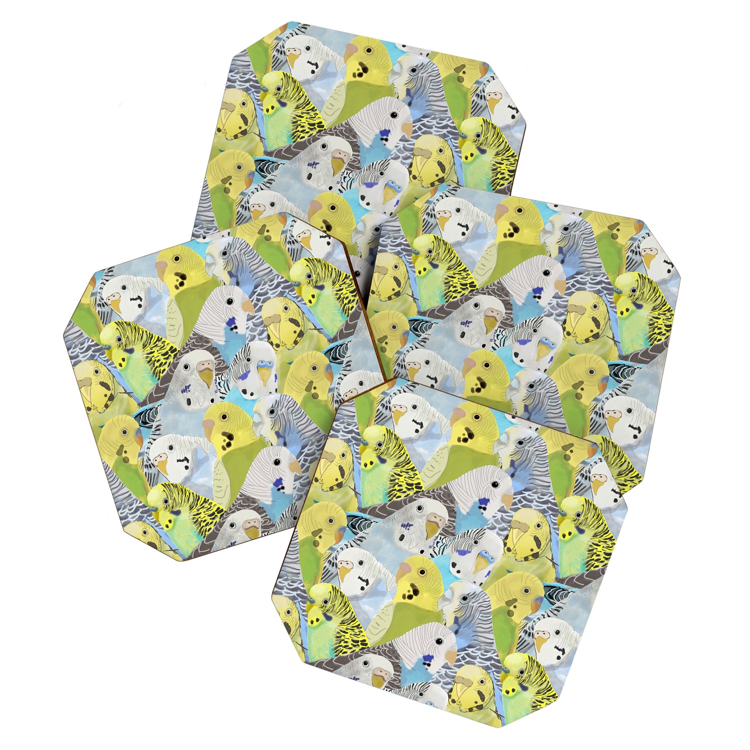 Budgie Parakeets Coaster Gallery Image 1