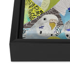 Budgie Parakeets Framed Canvas Print Gallery Image 3