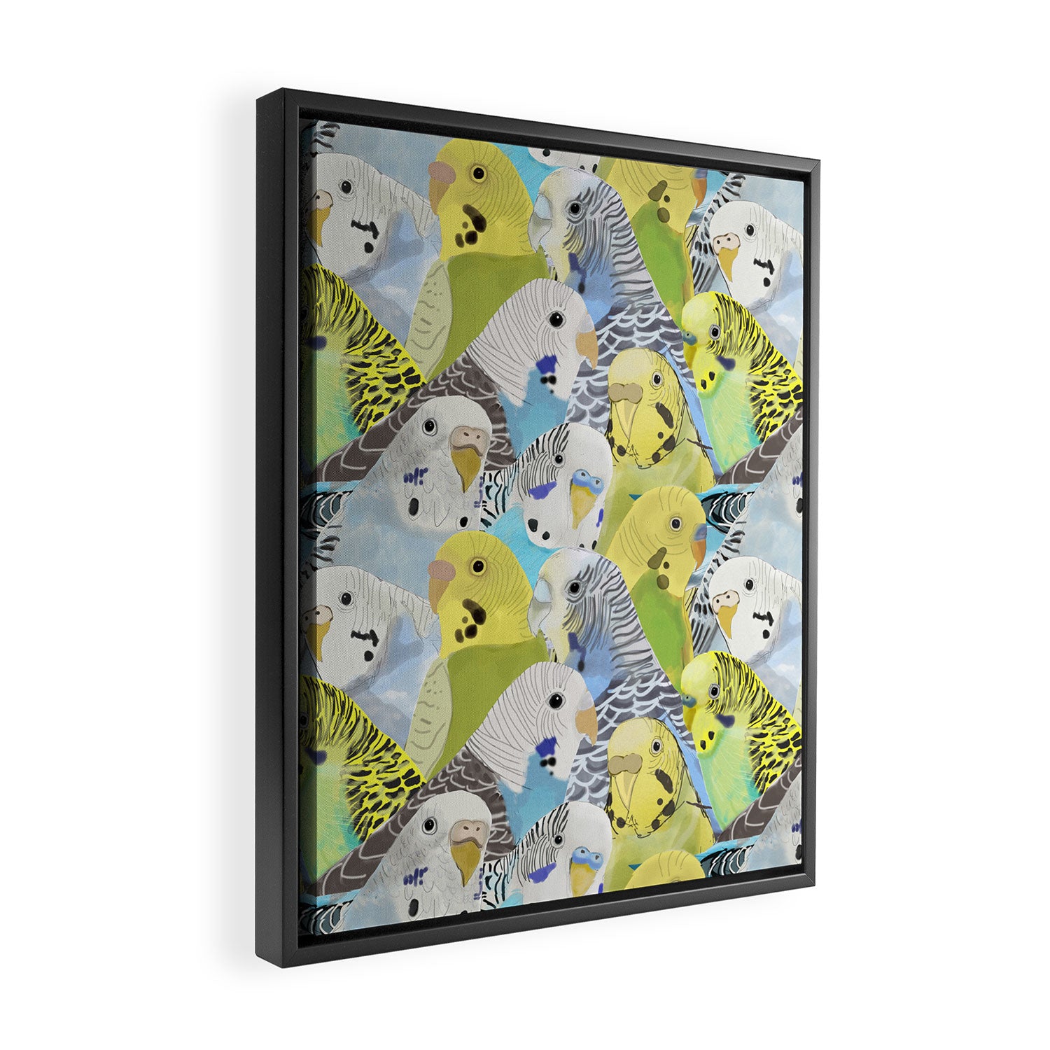 Budgie Parakeets Framed Canvas Print Gallery Image 2