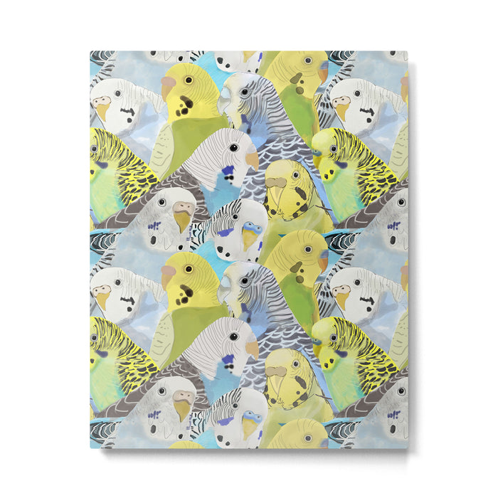 Budgie Parakeets Metal Print Gallery Image 1
