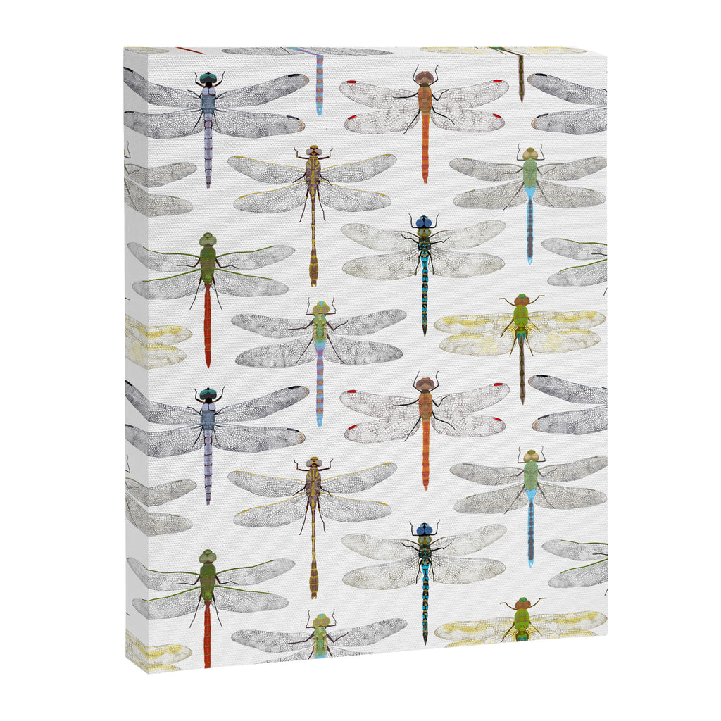 Dragonflies Canvas Print Gallery Image 8
