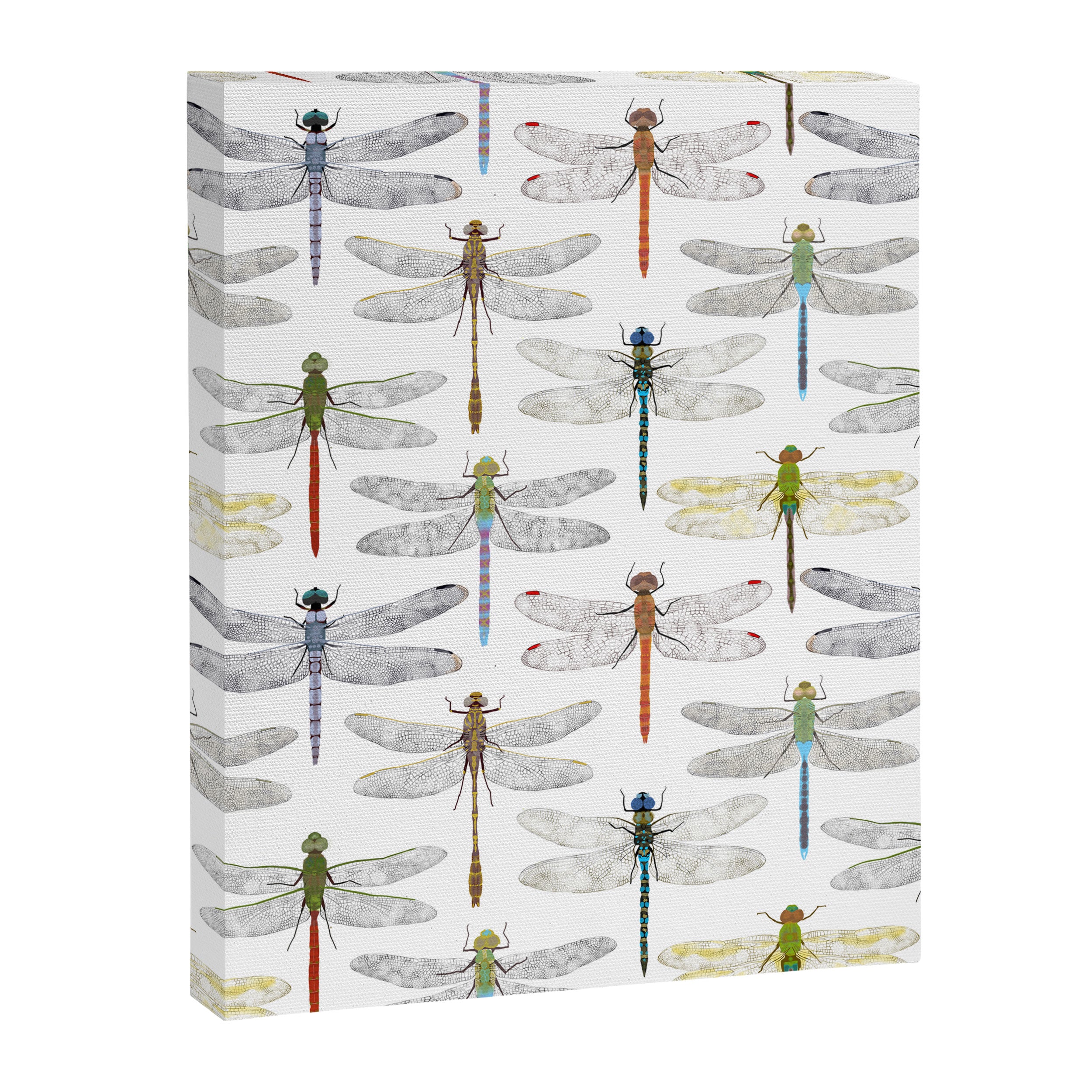 Dragonflies Canvas Print Gallery Image 8