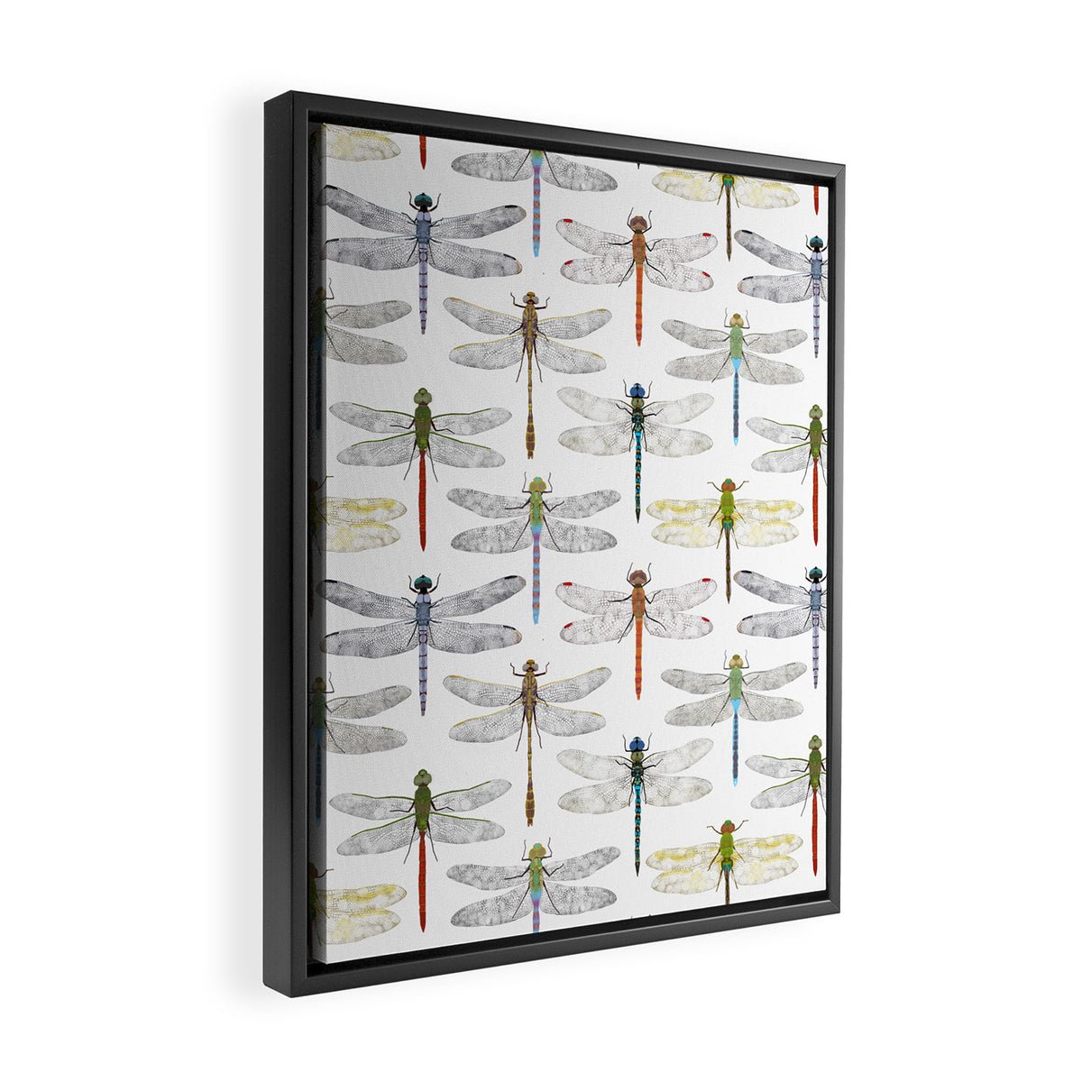 Dragonflies Framed Canvas Print Gallery Image 2